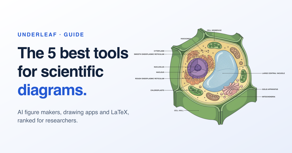 The 5 Best Tools for Scientific Diagrams in 2026