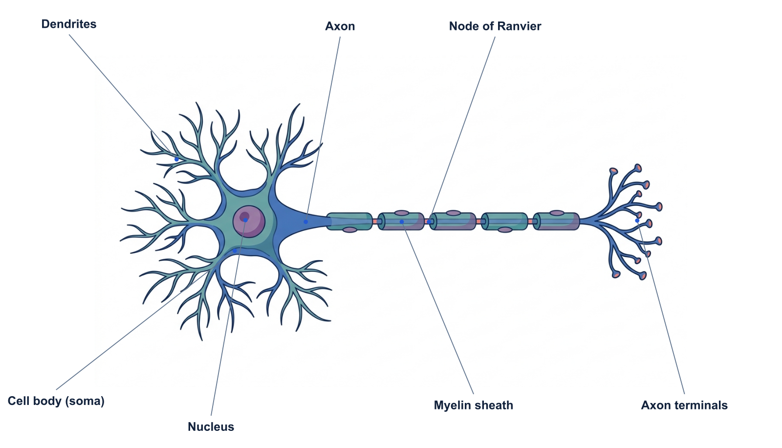 Make diagrams that teach one idea at a time